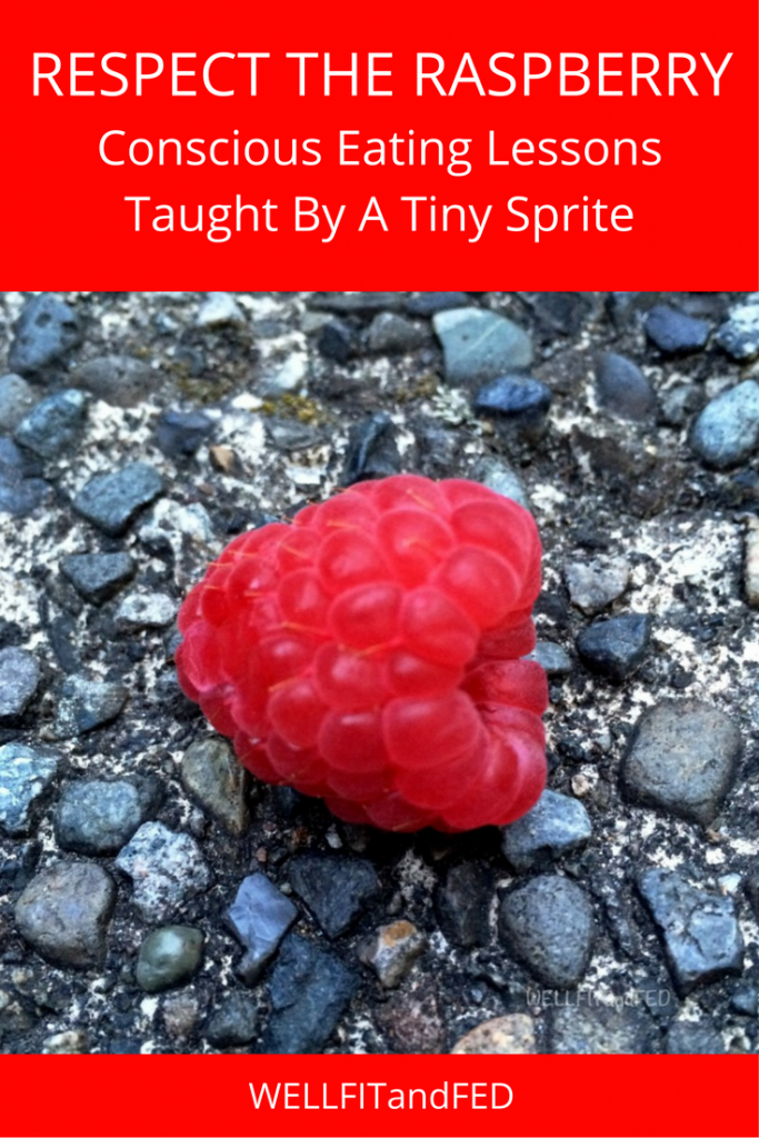 respect-the-raspberry