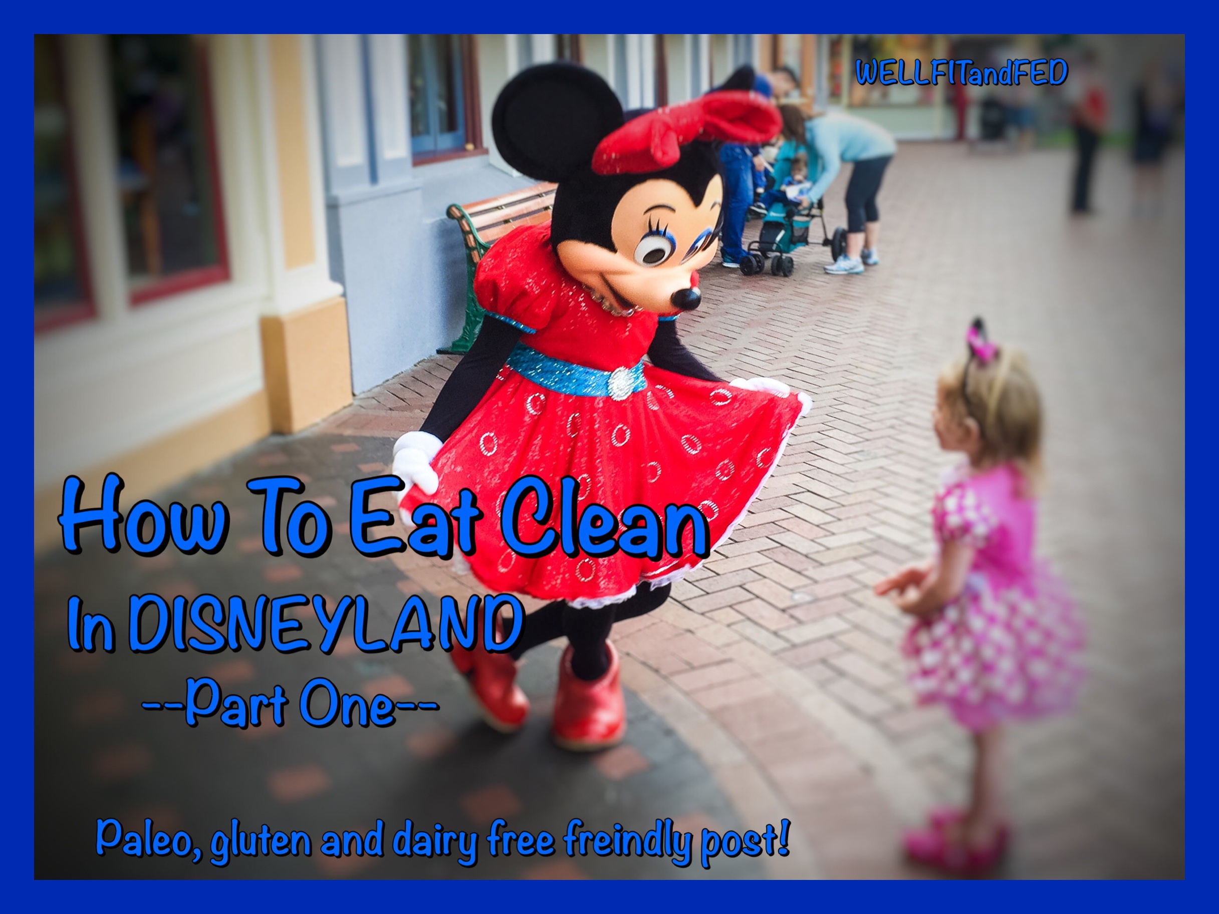 How To Eat Clean and Paleo In Disneyland – Part One