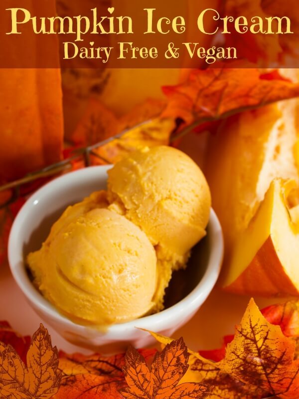 pumpkin_ice_cream_dairy_free
